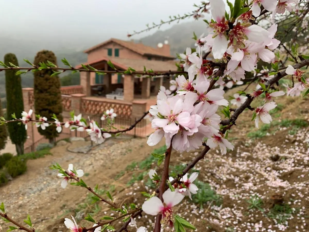 Can Ballús Bed&Breakfast Tiana